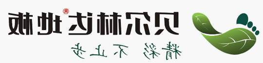 贝尔中欧体育kok官网入口
地板